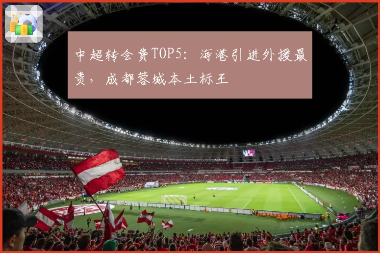 中超转会费TOP5：海港引进外援最贵，成都蓉城本土标王