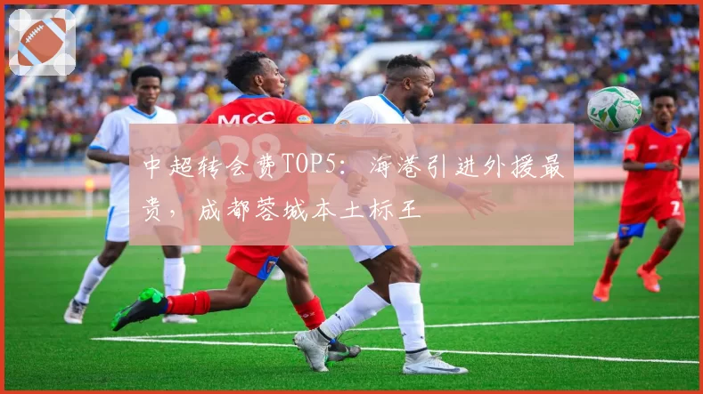 中超转会费TOP5：海港引进外援最贵，成都蓉城本土标王